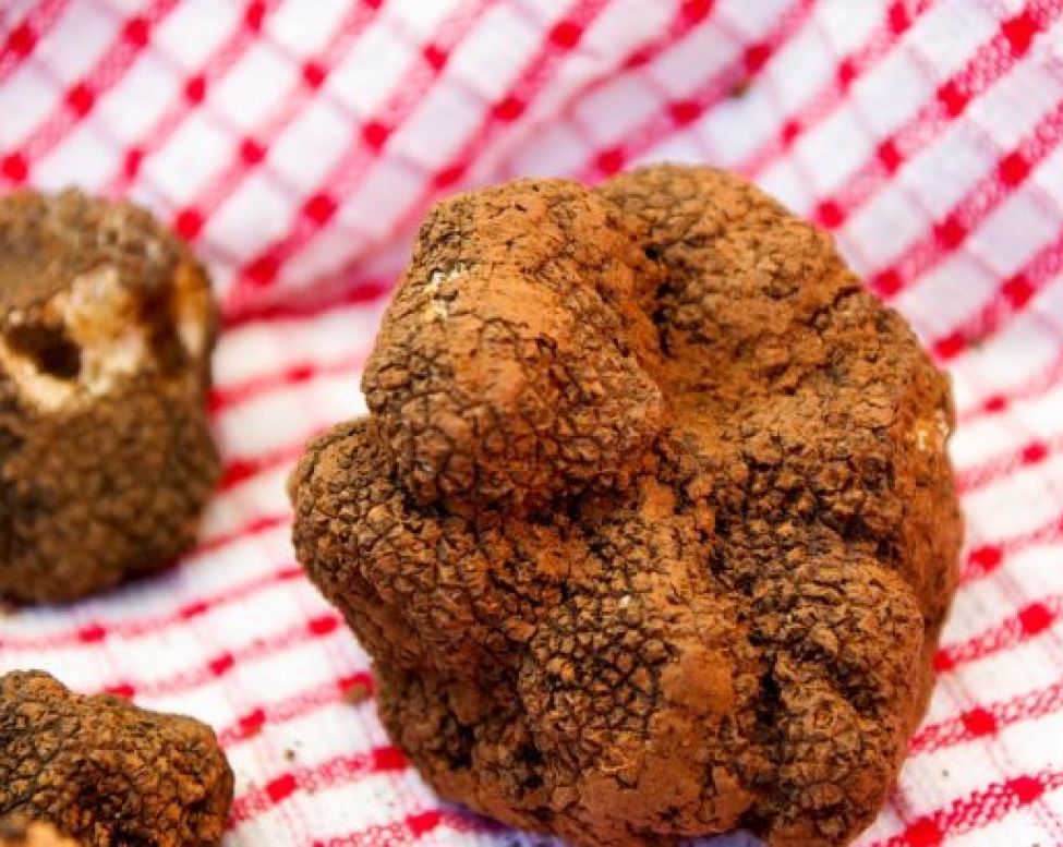 Tagliolini al Tartufo Bianco la ricetta del primo da re ...